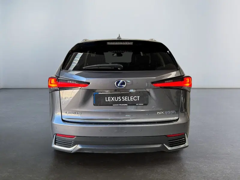 Lexus NX usata a Modena (6)
