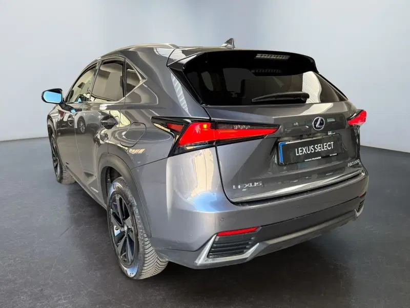 Lexus NX usata a Modena (7)