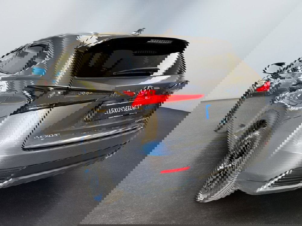 Lexus NX usata a Modena (7)