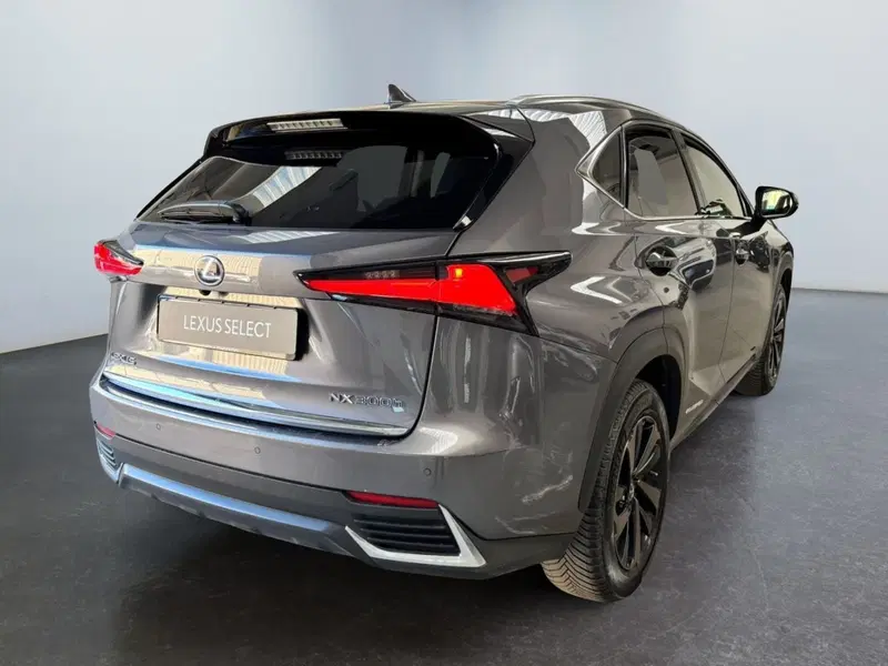 Lexus NX usata a Modena (8)