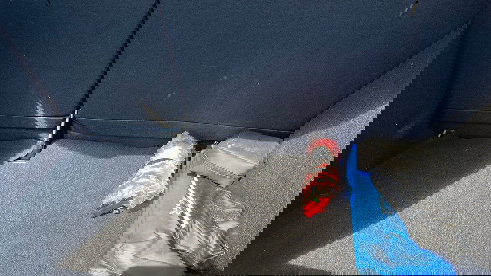 Dacia Sandero Streetway usata a Parma (16)