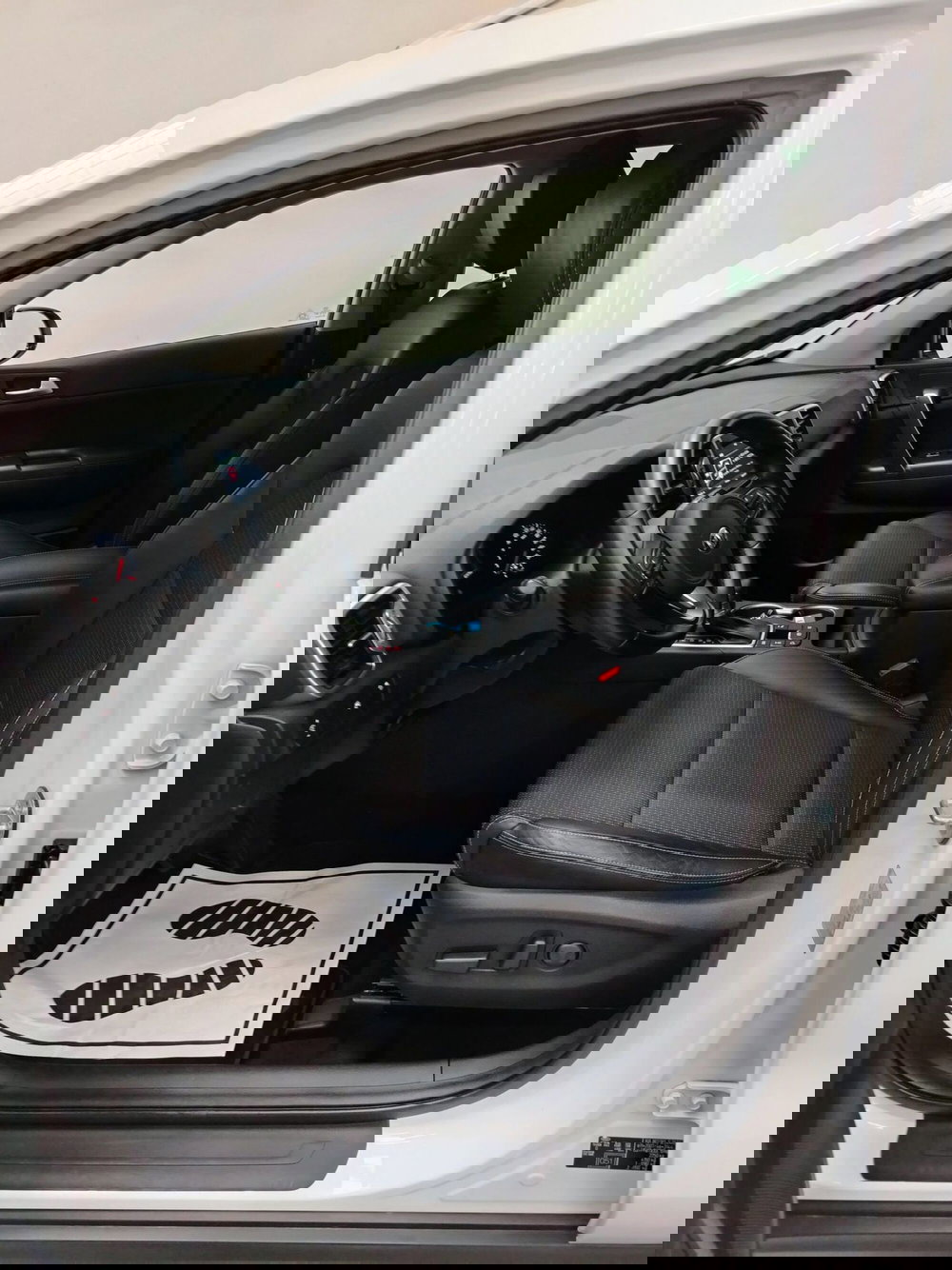 Kia Sportage usata a Rovigo (6)