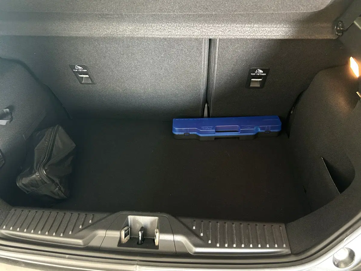 Ford Fiesta usata a Ferrara (14)