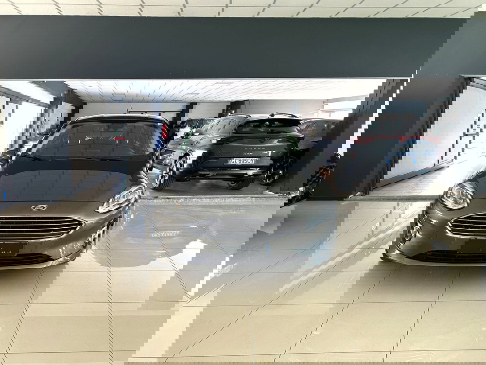 Ford Fiesta usata a Ferrara (2)