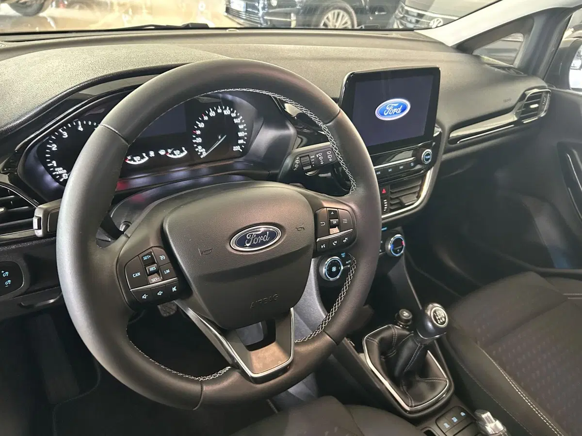 Ford Fiesta usata a Ferrara (9)