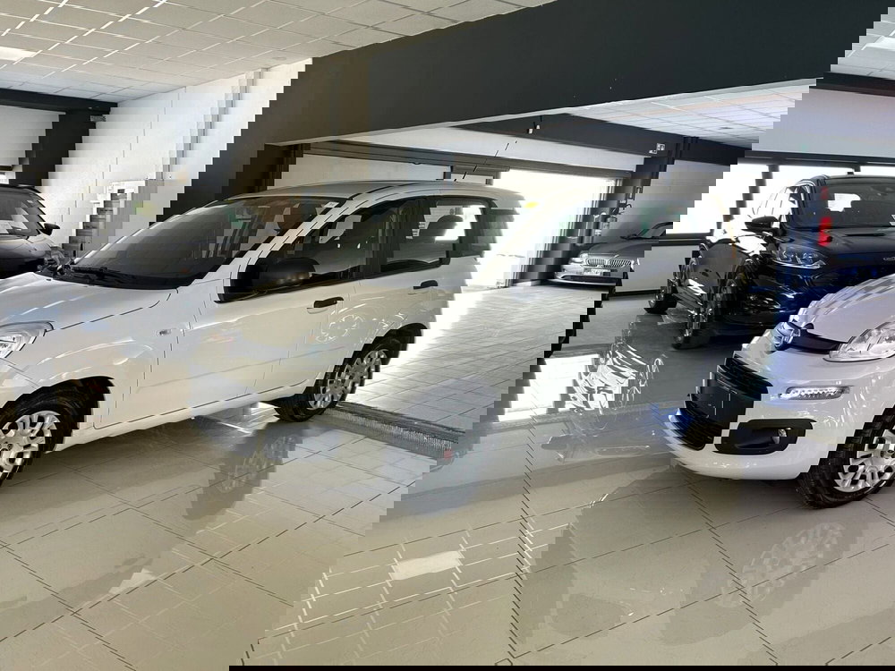 Fiat Panda usata a Ferrara