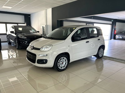 Fiat Panda 1.2 Easy del 2017 usata a Ferrara
