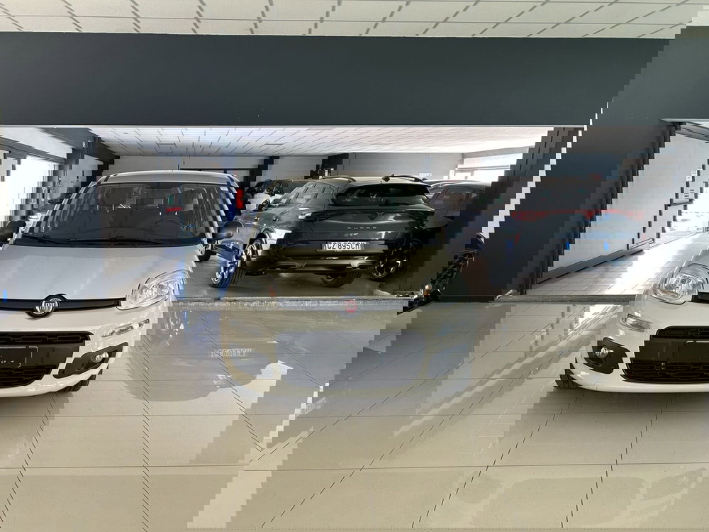 Fiat Panda usata a Ferrara (2)