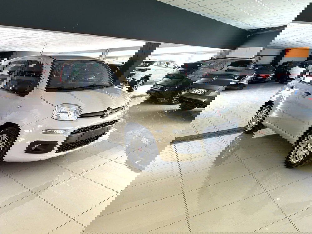 Fiat Panda usata a Ferrara (3)