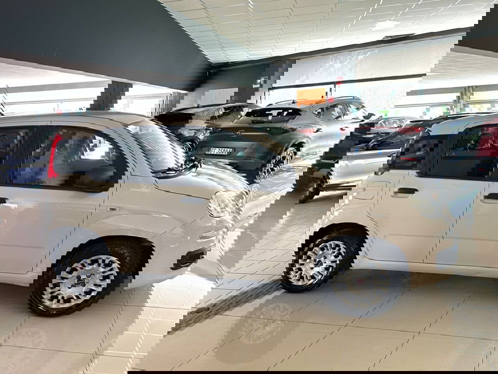 Fiat Panda usata a Ferrara (4)