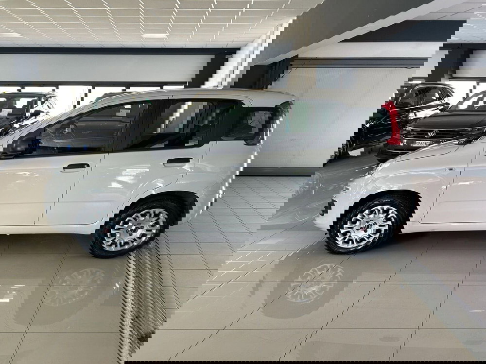 Fiat Panda usata a Ferrara (6)