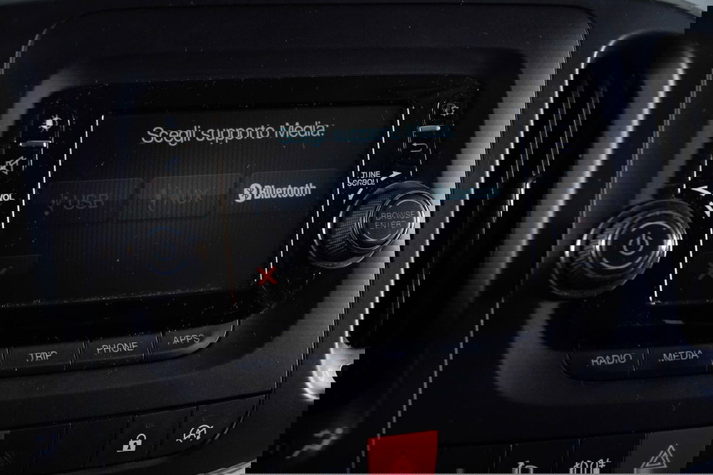 Fiat 500L usata a Perugia (19)