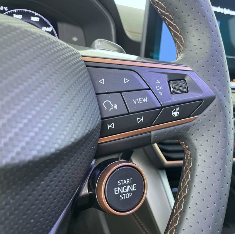 Cupra Formentor usata a Perugia (20)