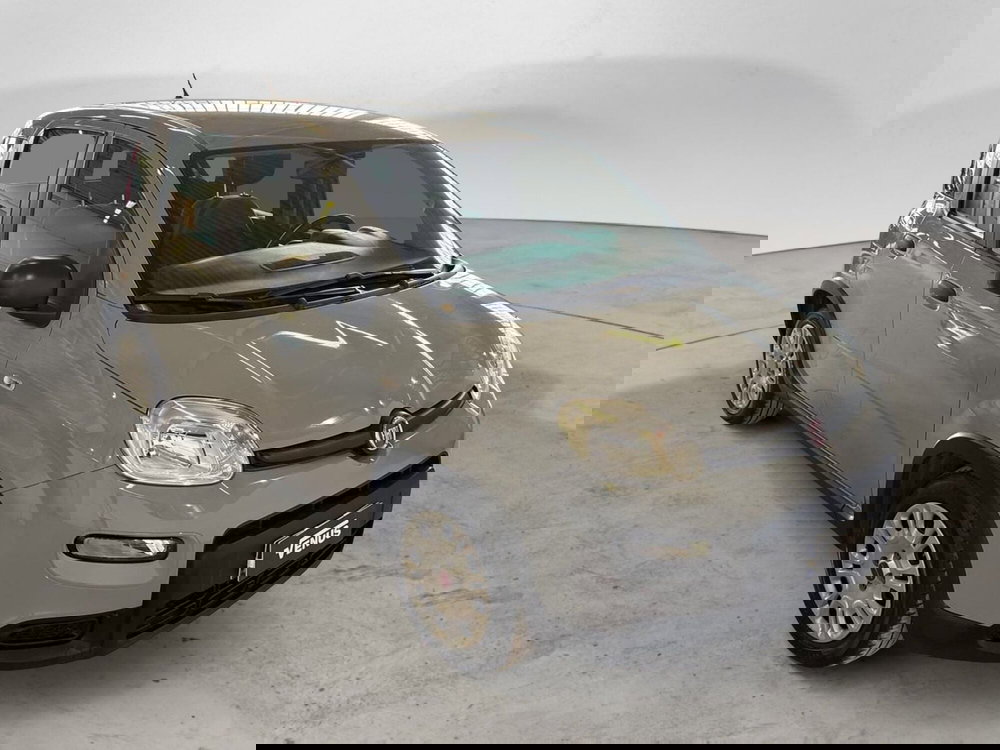 Fiat Panda Cross usata a Milano (15)