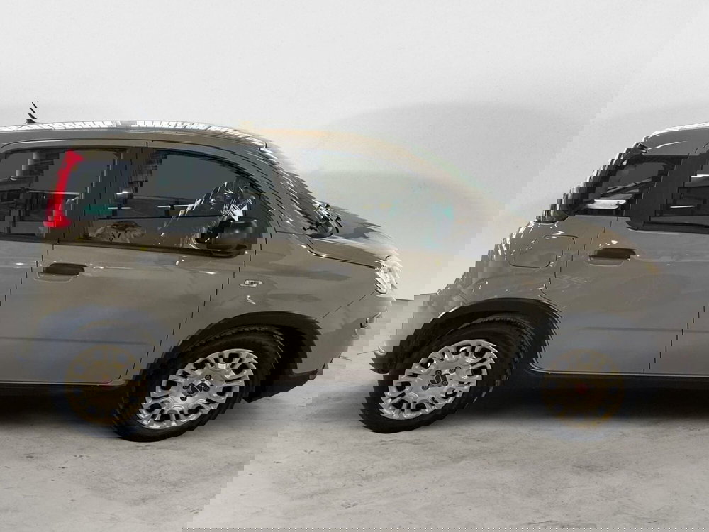 Fiat Panda Cross usata a Milano (7)