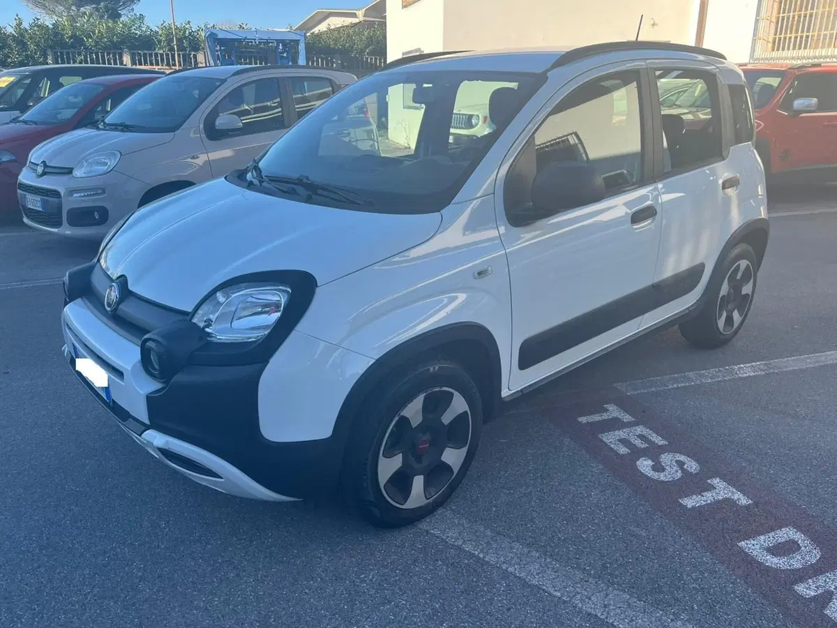 Fiat Panda usata a Lucca