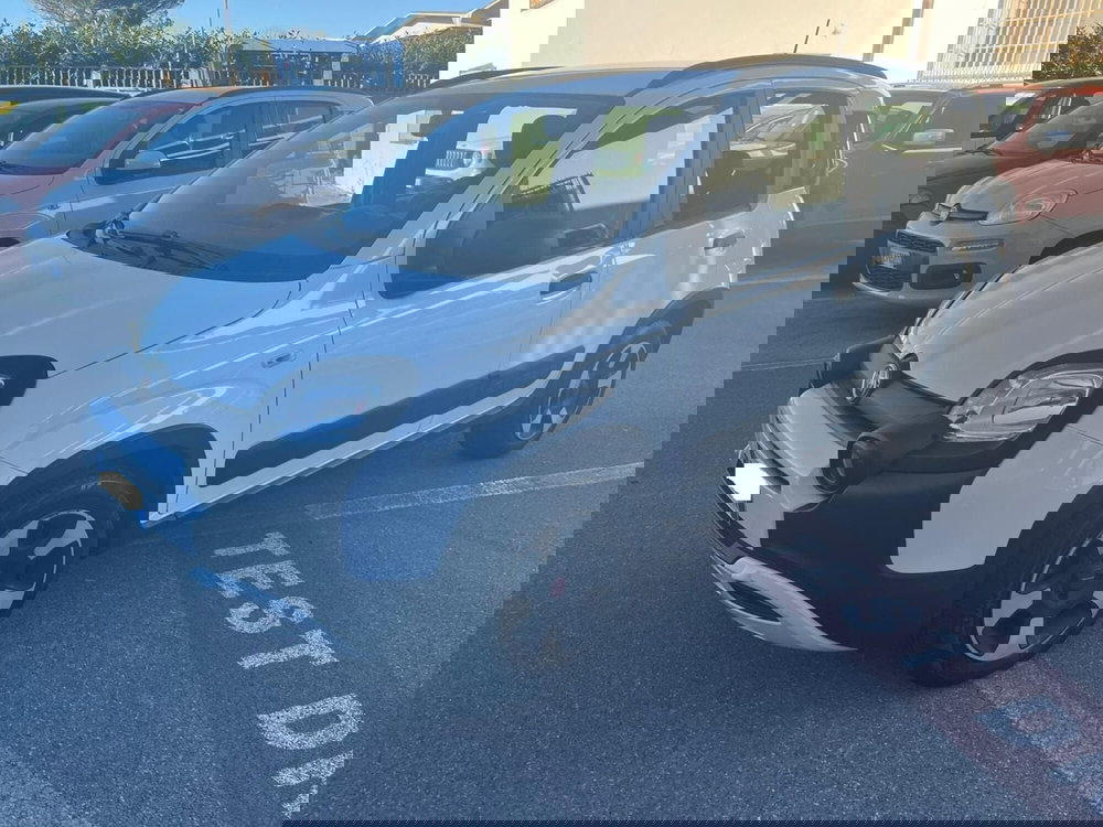 Fiat Panda usata a Lucca