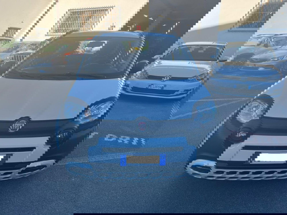 Fiat Panda usata a Lucca (2)