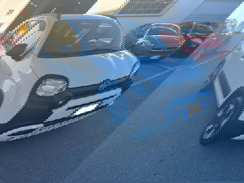 Fiat Panda usata a Lucca (3)