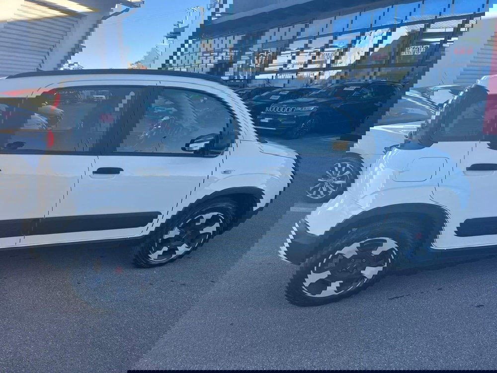 Fiat Panda usata a Lucca (4)