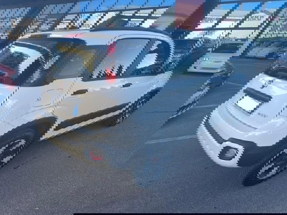 Fiat Panda usata a Lucca (5)