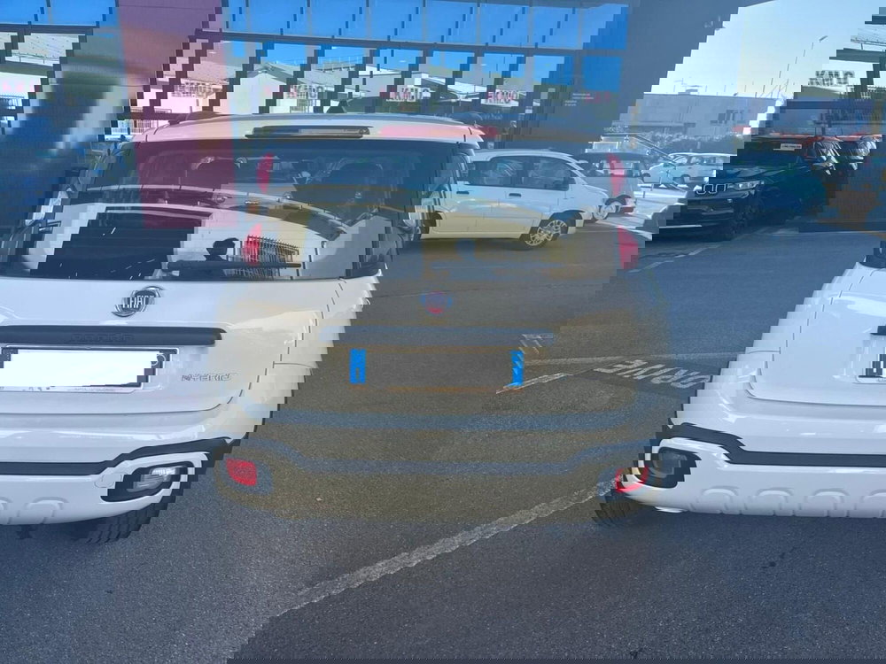 Fiat Panda usata a Lucca (6)