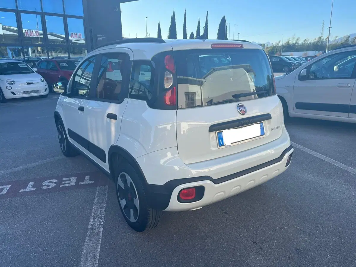 Fiat Panda usata a Lucca (7)