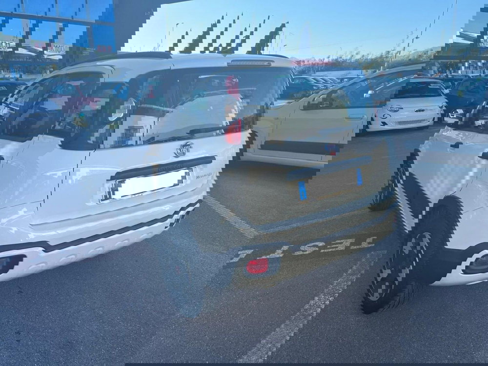 Fiat Panda usata a Lucca (7)