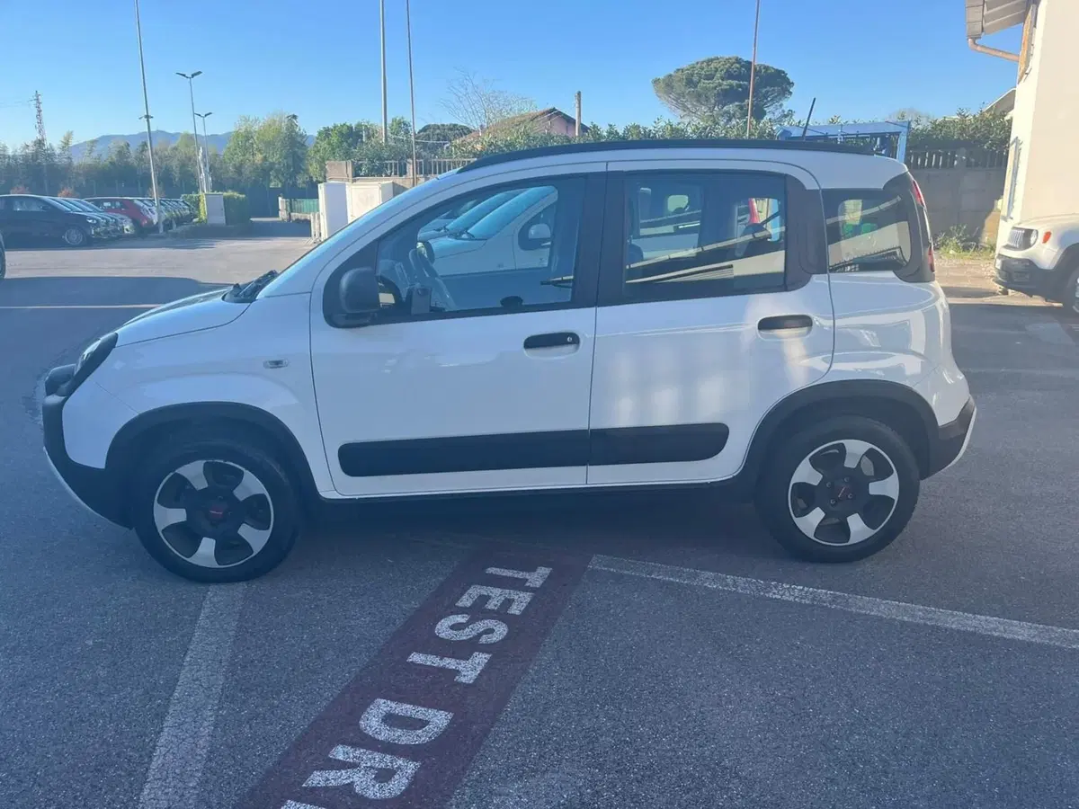 Fiat Panda usata a Lucca (8)