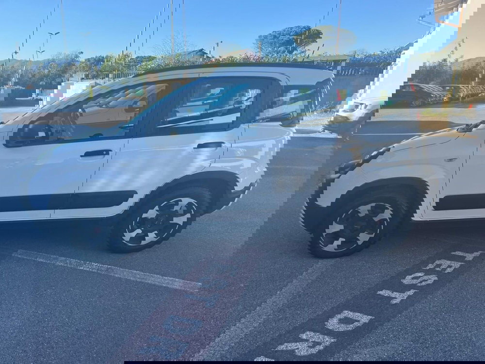 Fiat Panda usata a Lucca (8)