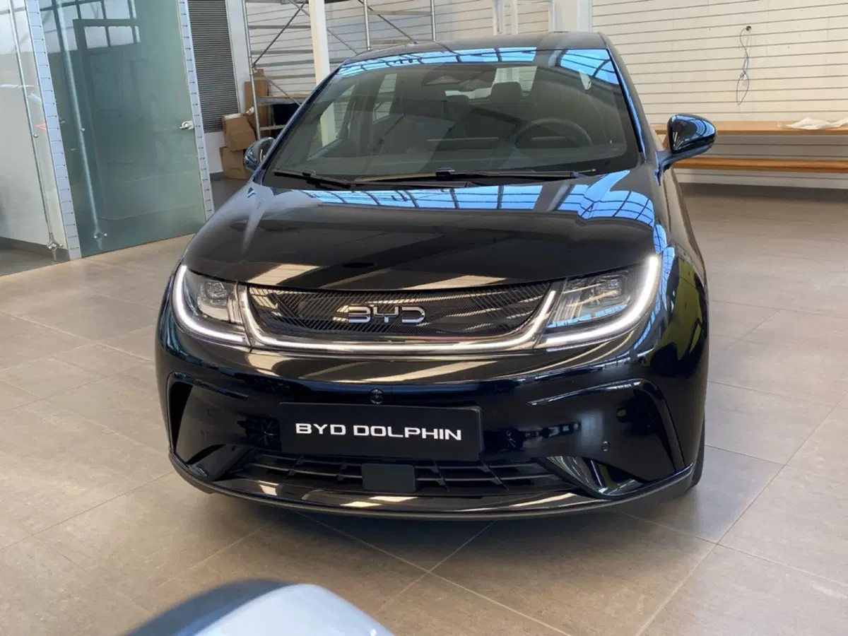 Byd Dolphin nuova a Lodi (5)