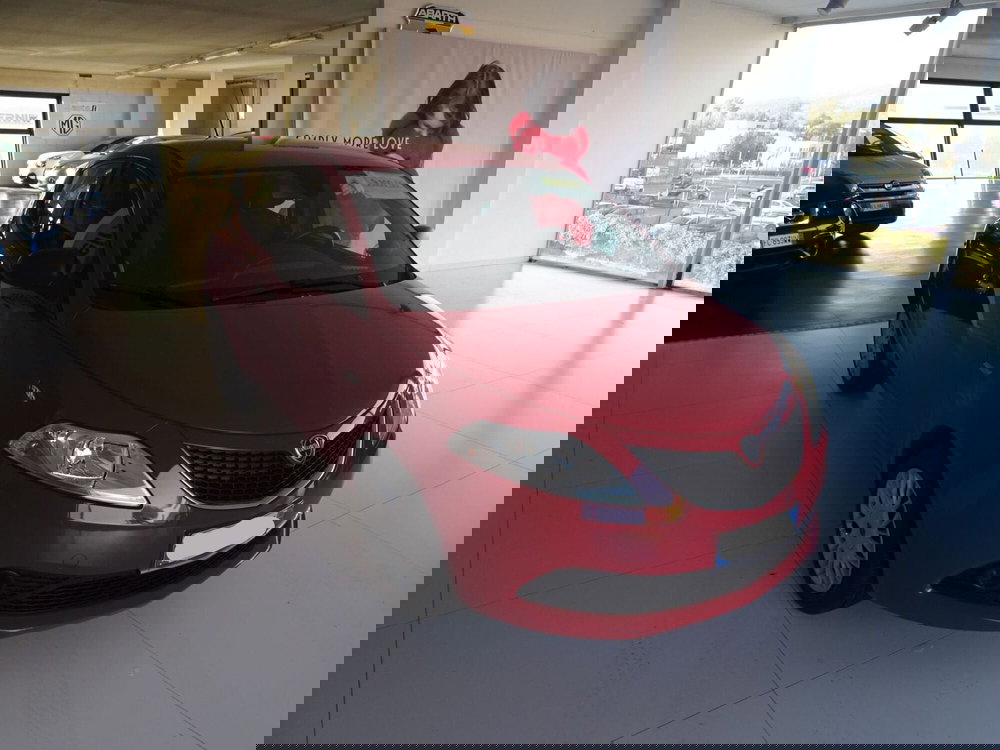 Lancia Ypsilon usata a Lucca (7)
