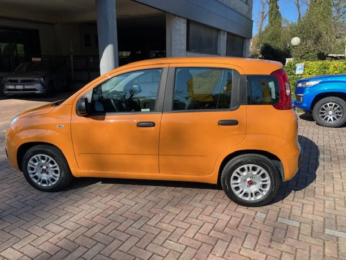 Fiat Panda usata a Brescia (13)