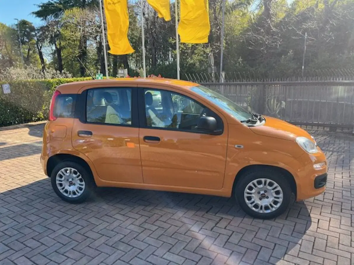 Fiat Panda usata a Brescia (6)
