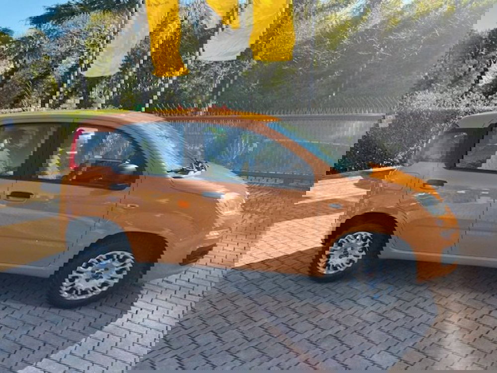 Fiat Panda usata a Brescia (6)