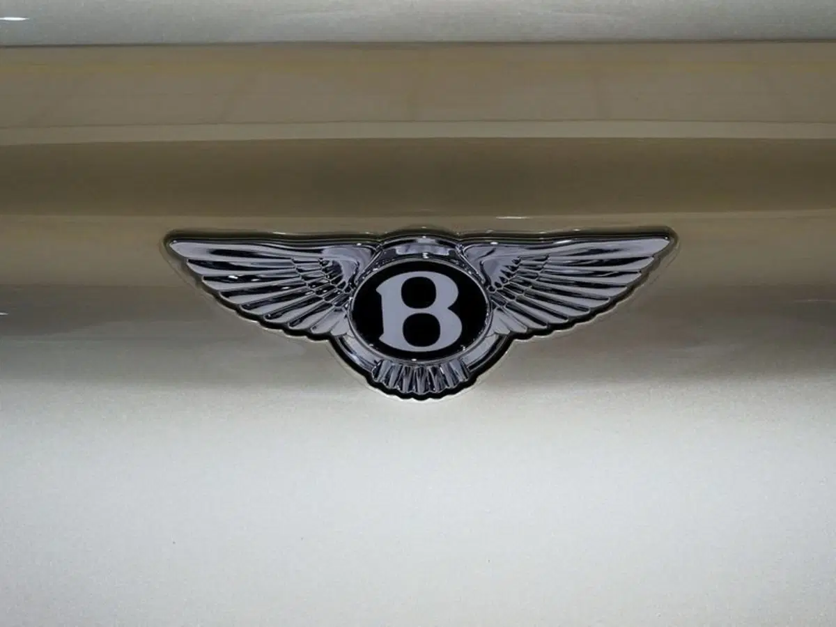 Bentley Continental GT usata a Milano (12)
