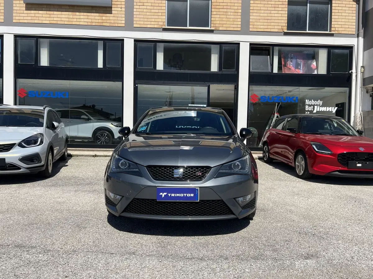 SEAT Ibiza usata a Teramo