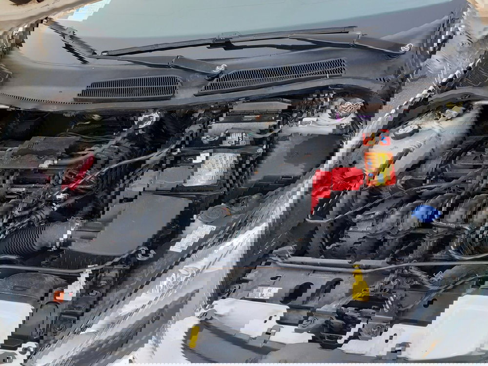 Ford Fiesta usata a Modena (15)