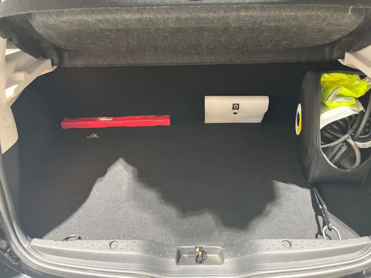 smart forfour usata a Napoli (10)