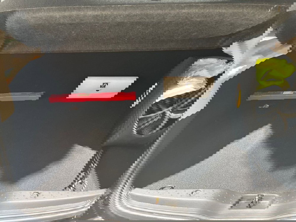 smart forfour usata a Napoli (10)