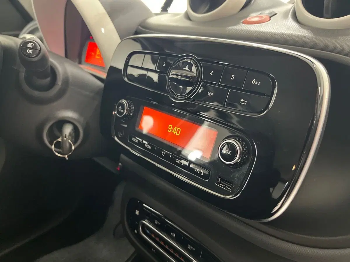 smart forfour usata a Napoli (14)