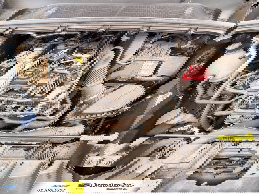 Ford Puma usata a Roma (12)