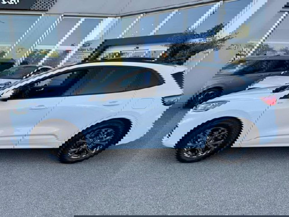 Ford Kuga usata a Bologna (2)