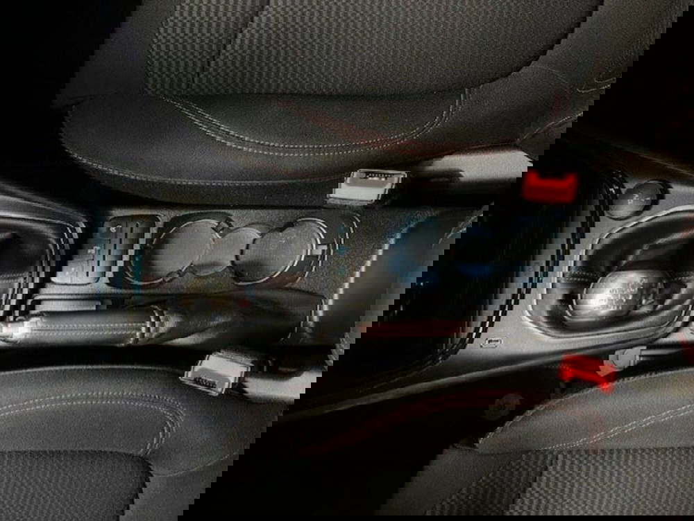 Ford Puma usata a Cuneo (11)