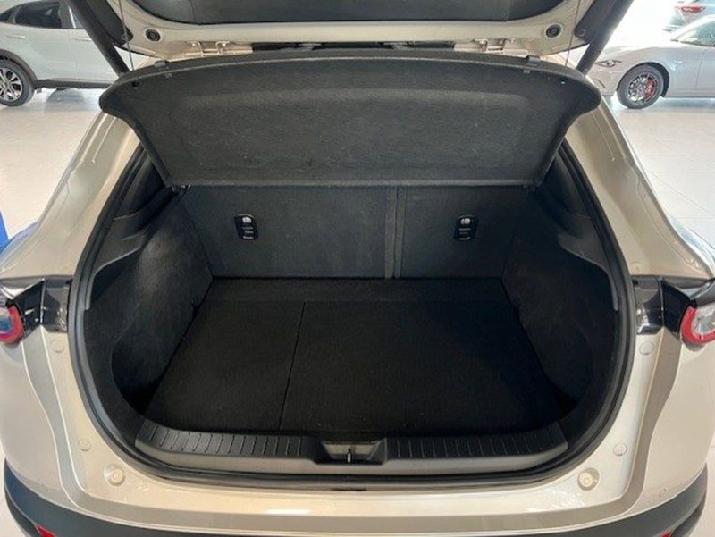 Mazda CX-30 usata a Cuneo (17)