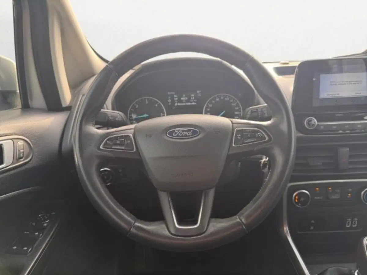 Ford EcoSport usata a Treviso (12)