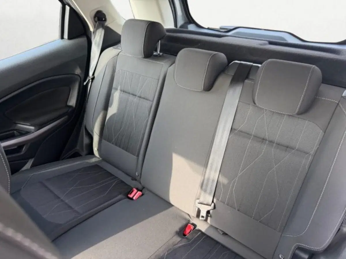 Ford EcoSport usata a Treviso (14)