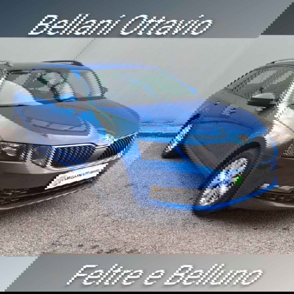 Skoda Octavia Station Wagon usata a Belluno