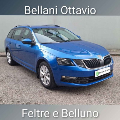Skoda Octavia Station Wagon 2.0 TDI CR 4x4 Wagon Executive Plus del 2017 usata a Feltre