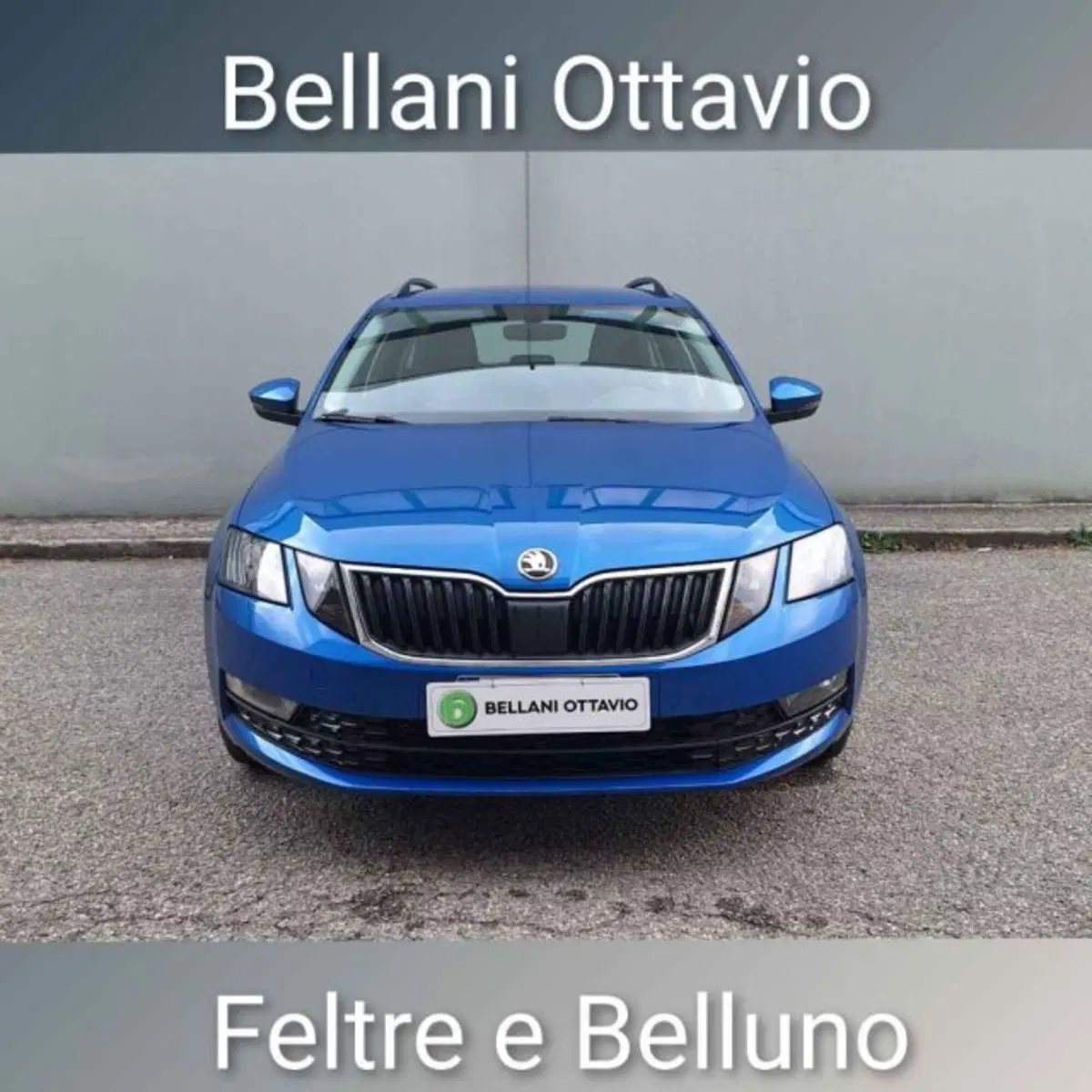 Skoda Octavia Station Wagon usata a Belluno (2)